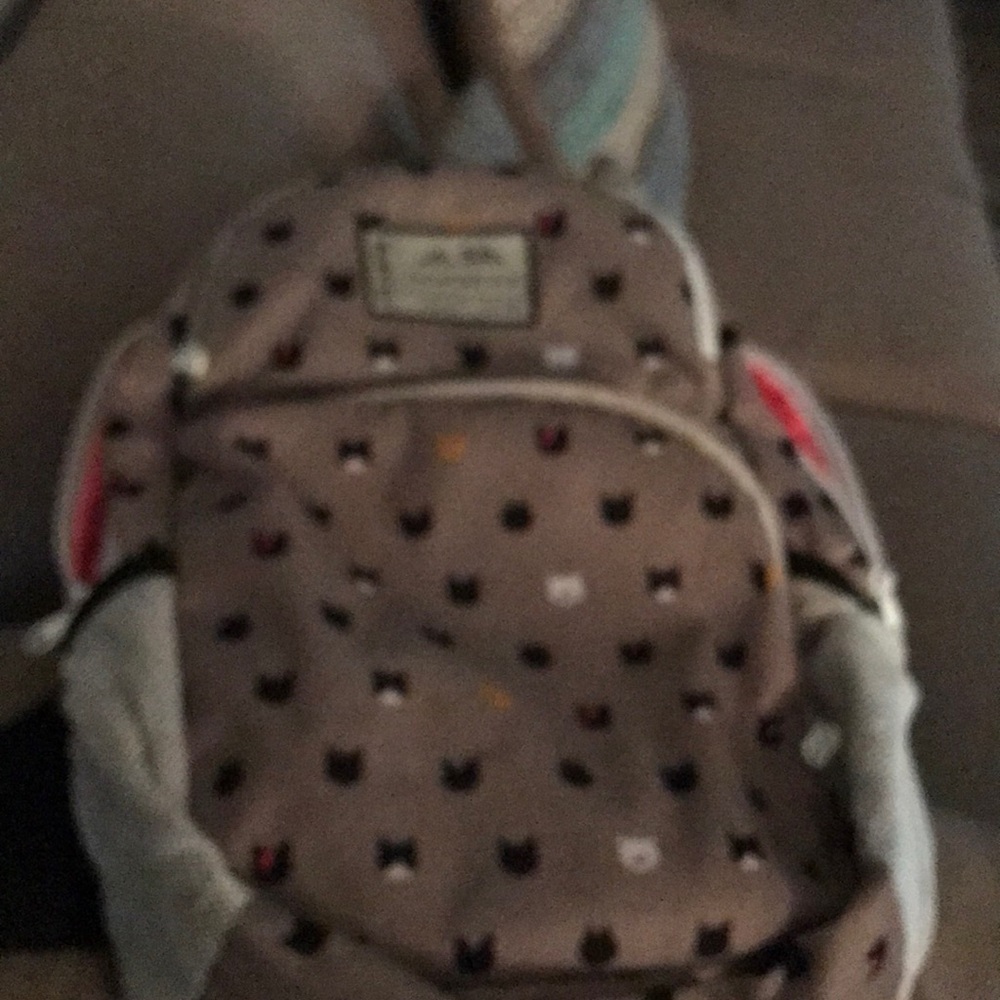 Lunchbox and backpack